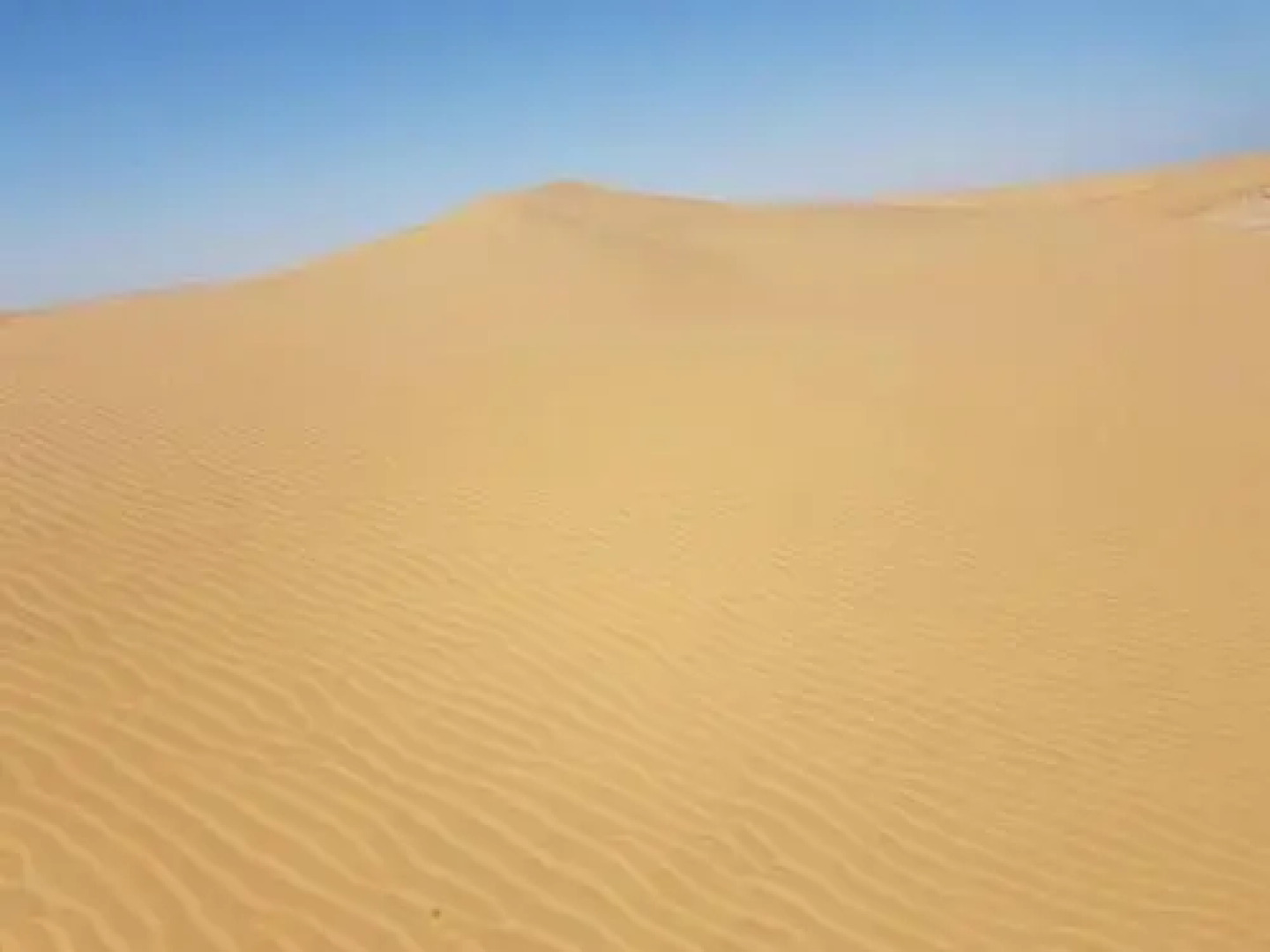 Elilo Bed And breakfast