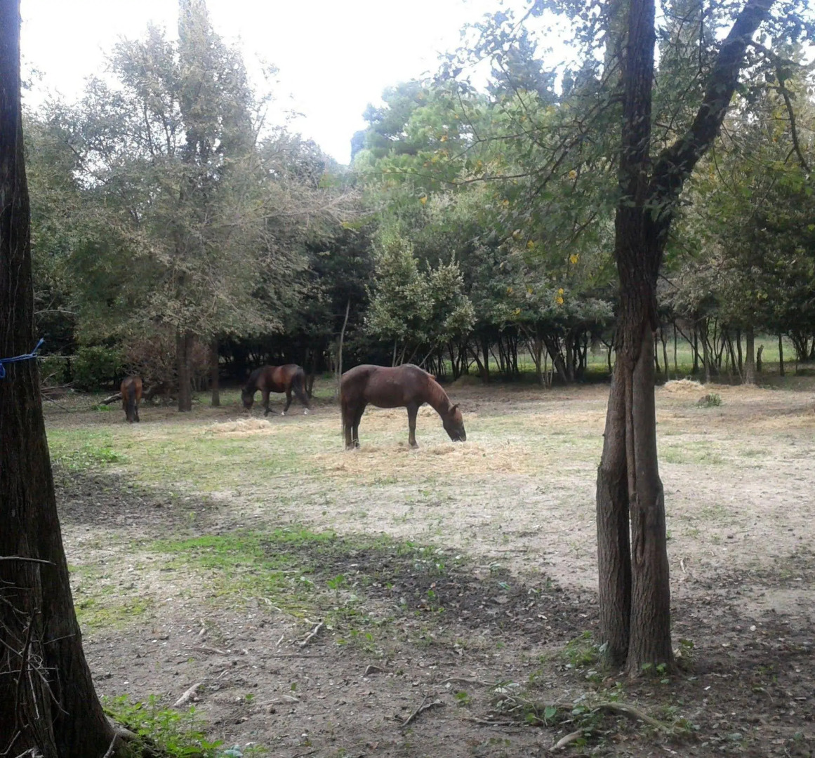Garitsa bay Apartment