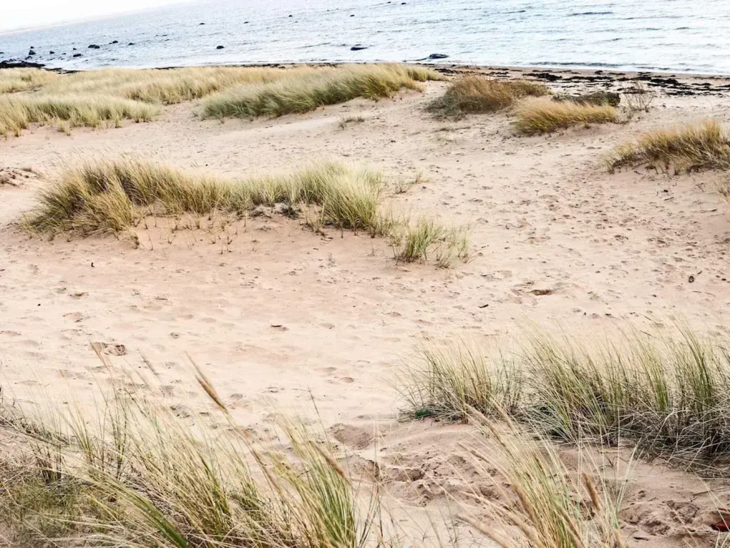 4 Star Holiday Home in Halmstad