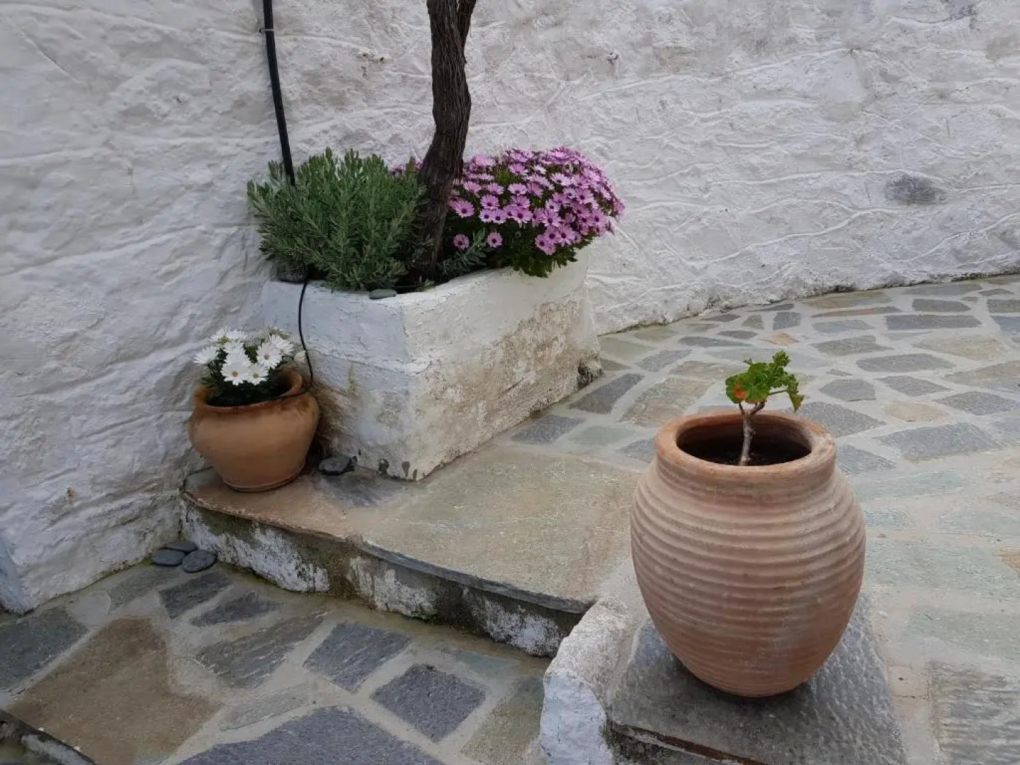 Lovely traditionnal house with sea view