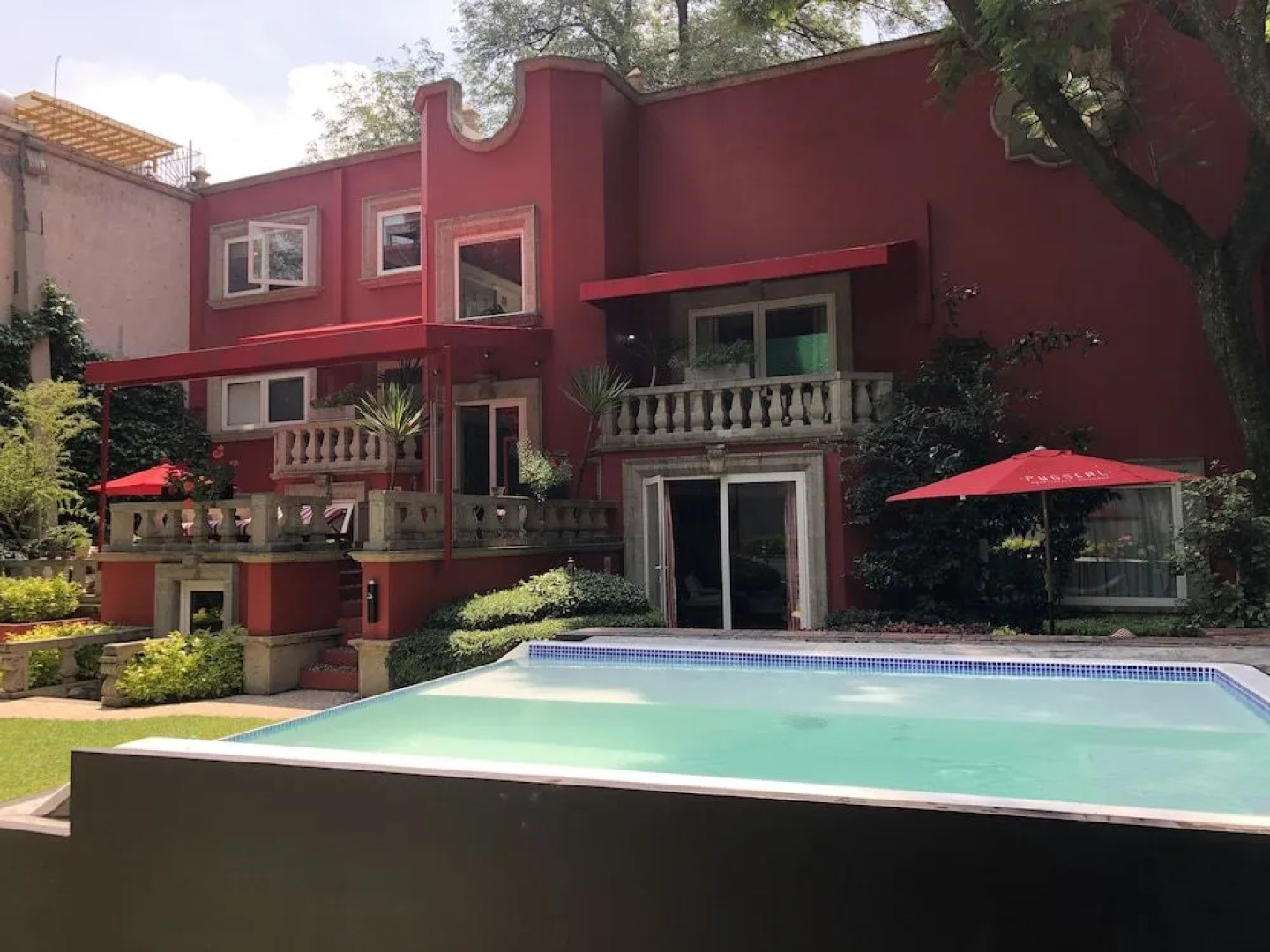 Pug Seal B&B Coyoacan