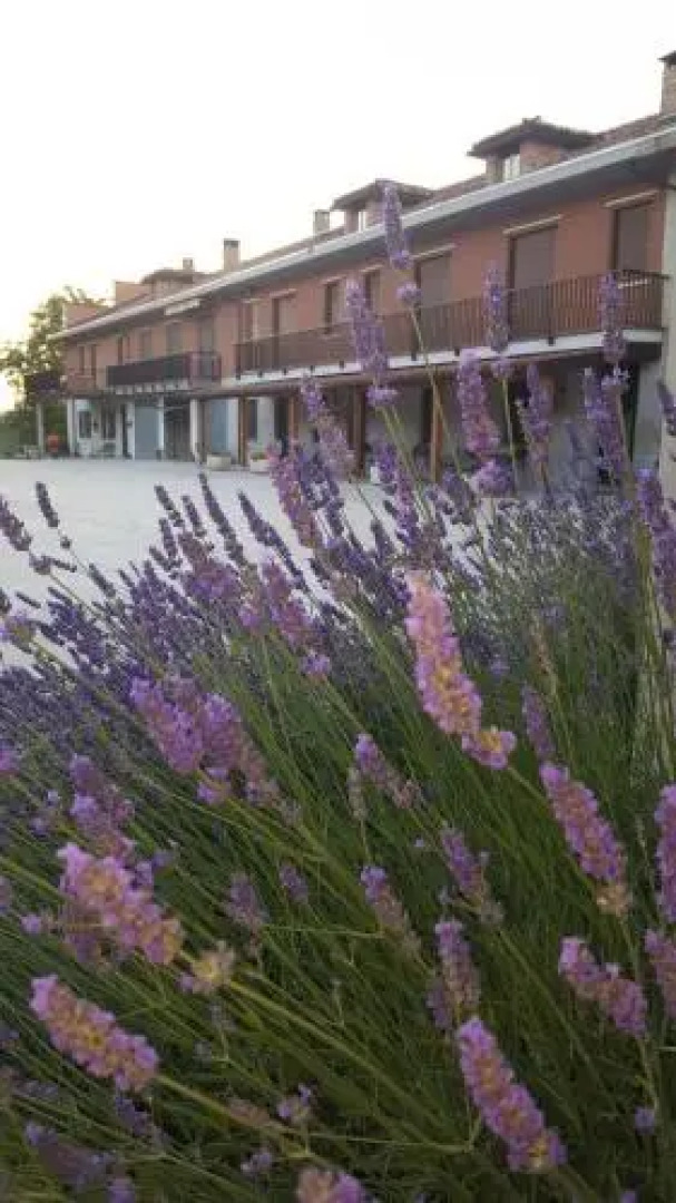 Agriturismo Cascina Longoria
