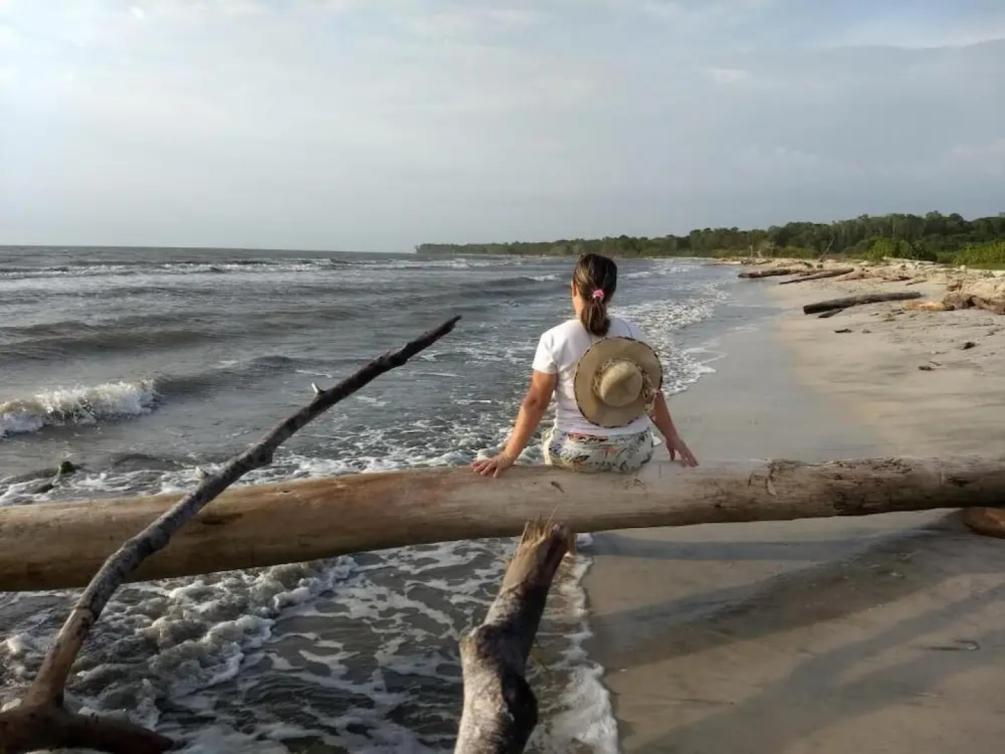 Urantia Beach Hostel & Camping