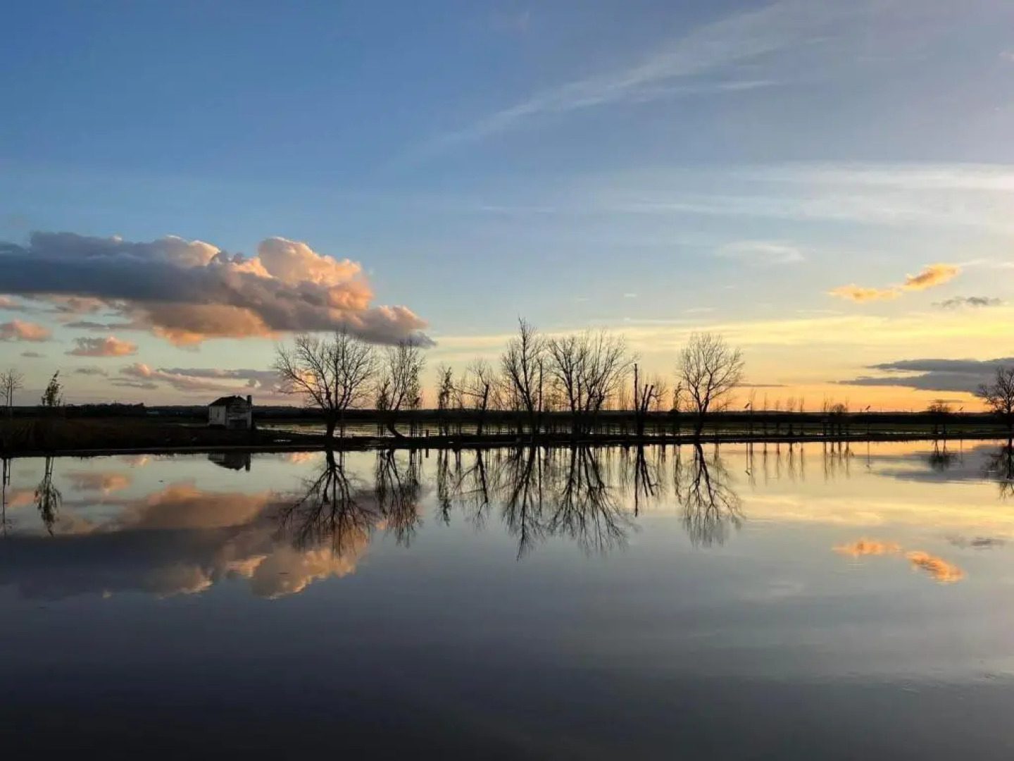 Patio da Villa Guest House