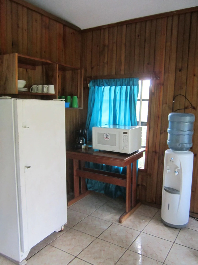 Coconut Tree West Bay