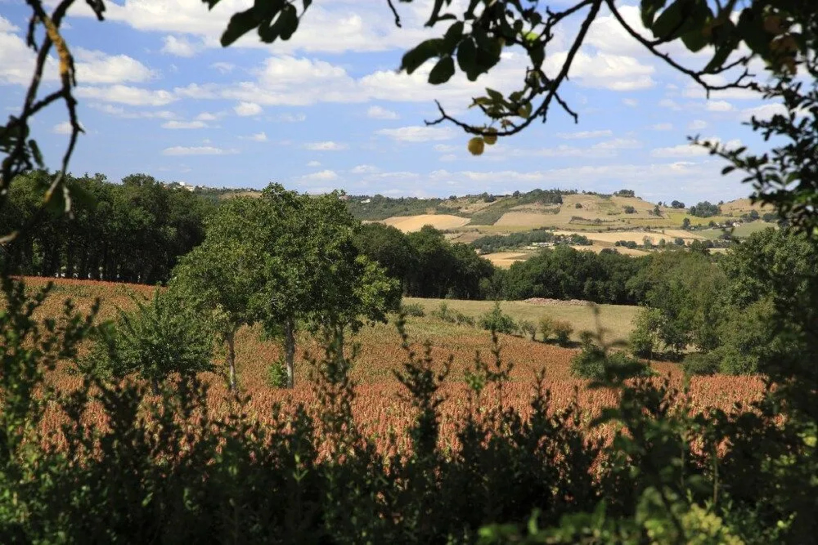 South Tarn Gites - Deluxe and Tranquil near Lautrec Village