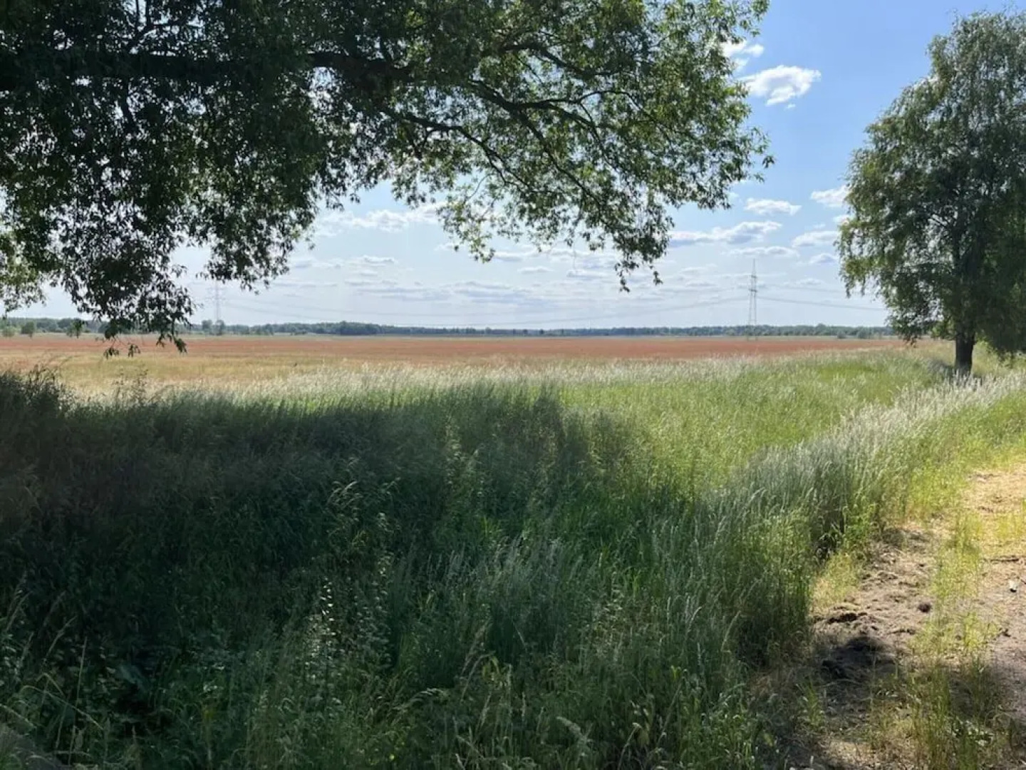 Holiday Home Tonn Modern Retreat