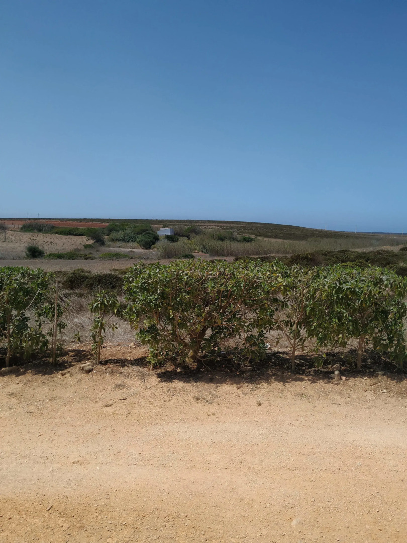 Vivenda Familia Pedro