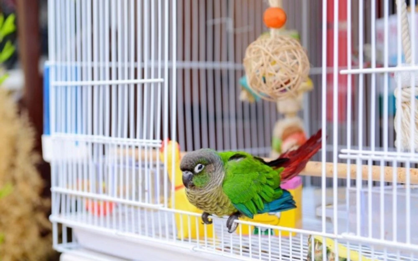 Yangpyeong Chaeum Pension