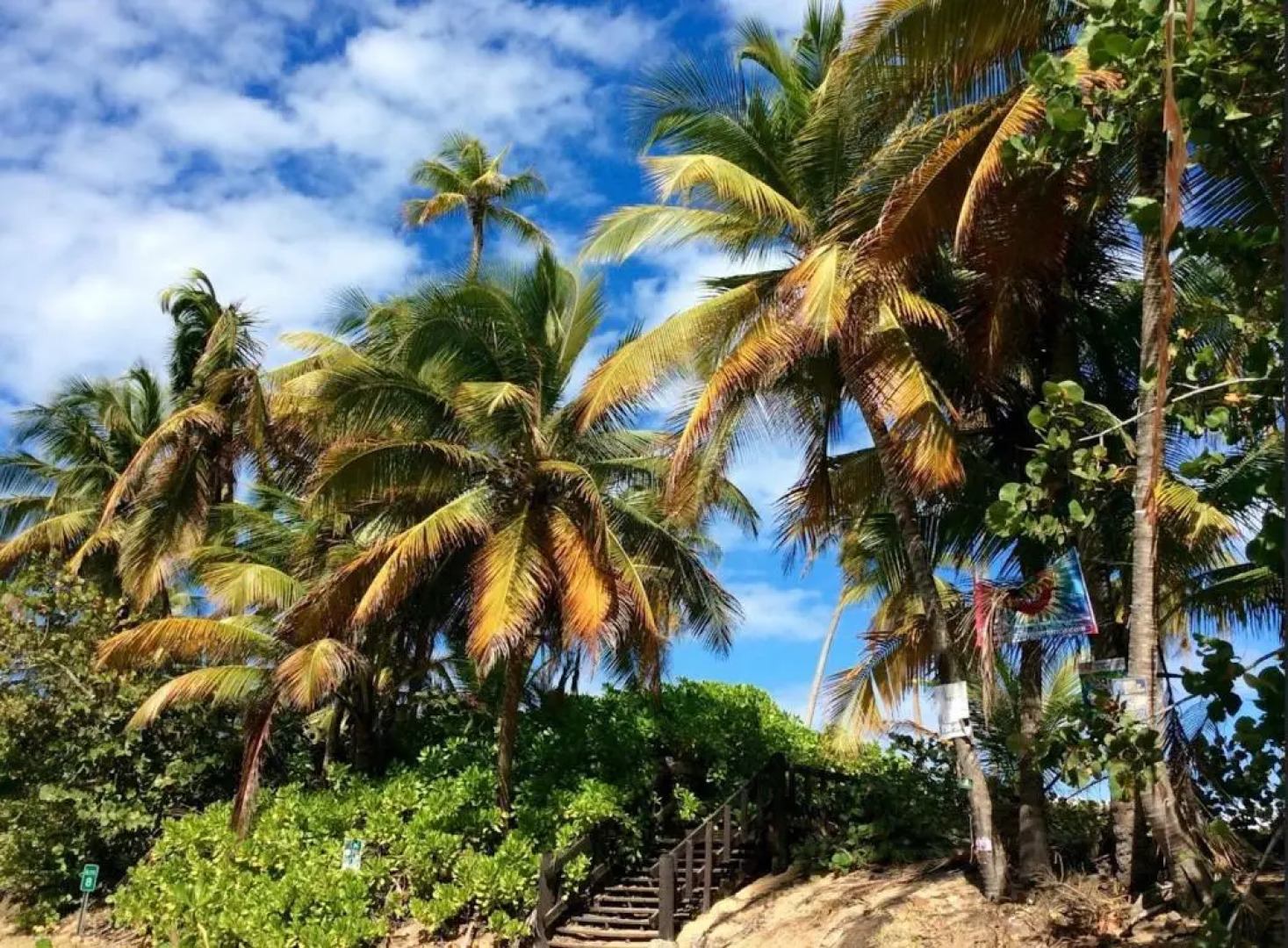 Bee Inn Puerto Rico Charming Urban Apartment in San Juan