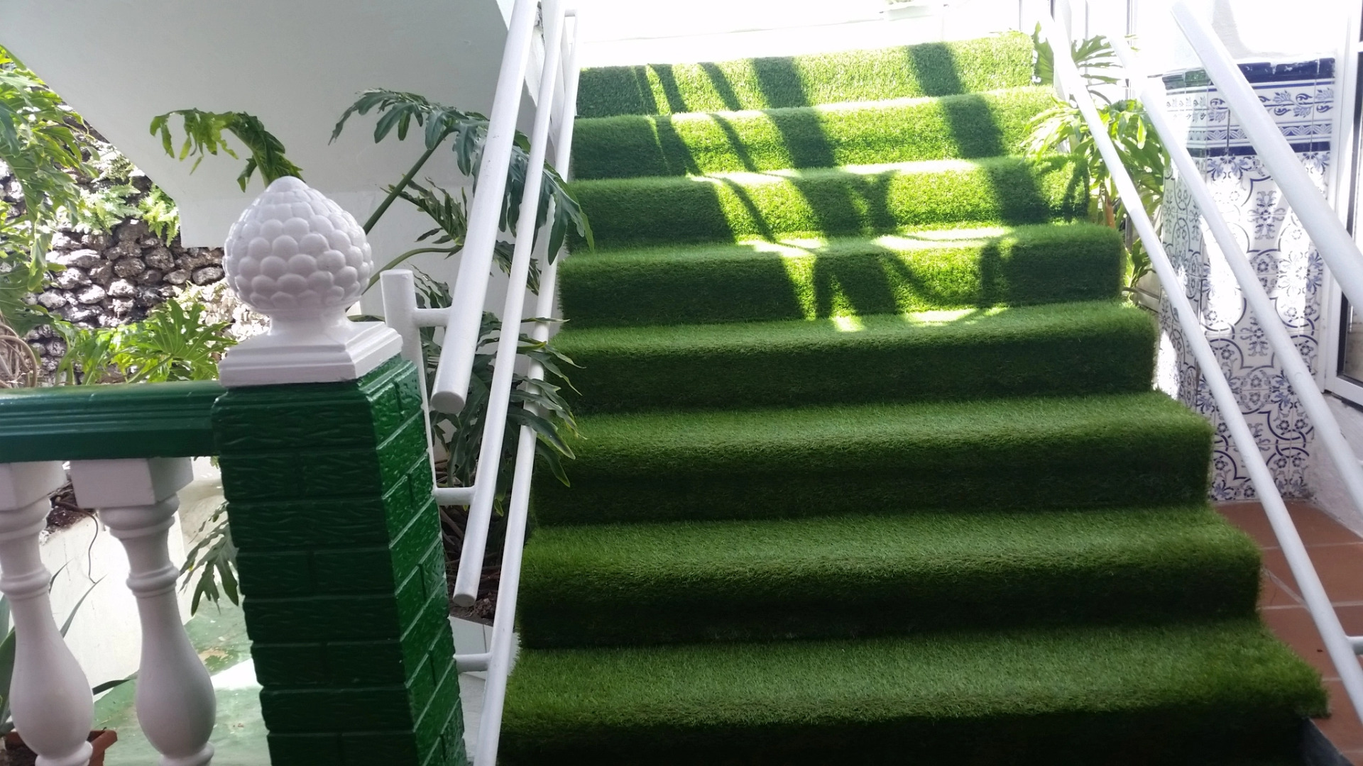 Bungalows Vista Oasis