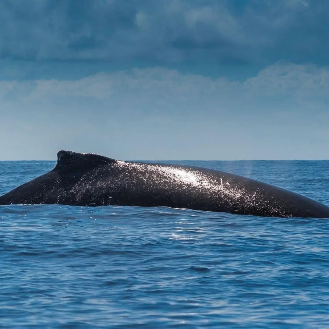 Pousada Velas e Vento - Acesso fácil a Barra Grande