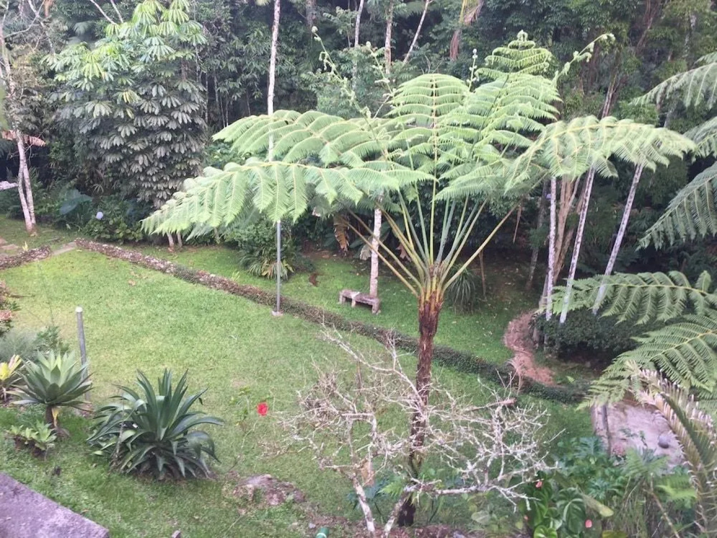 Gato de Botas Flats & Suites