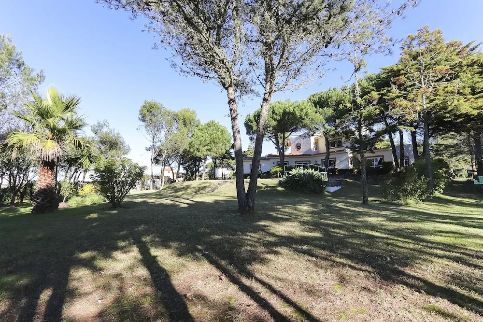 Sintra Classic Villa by Homing