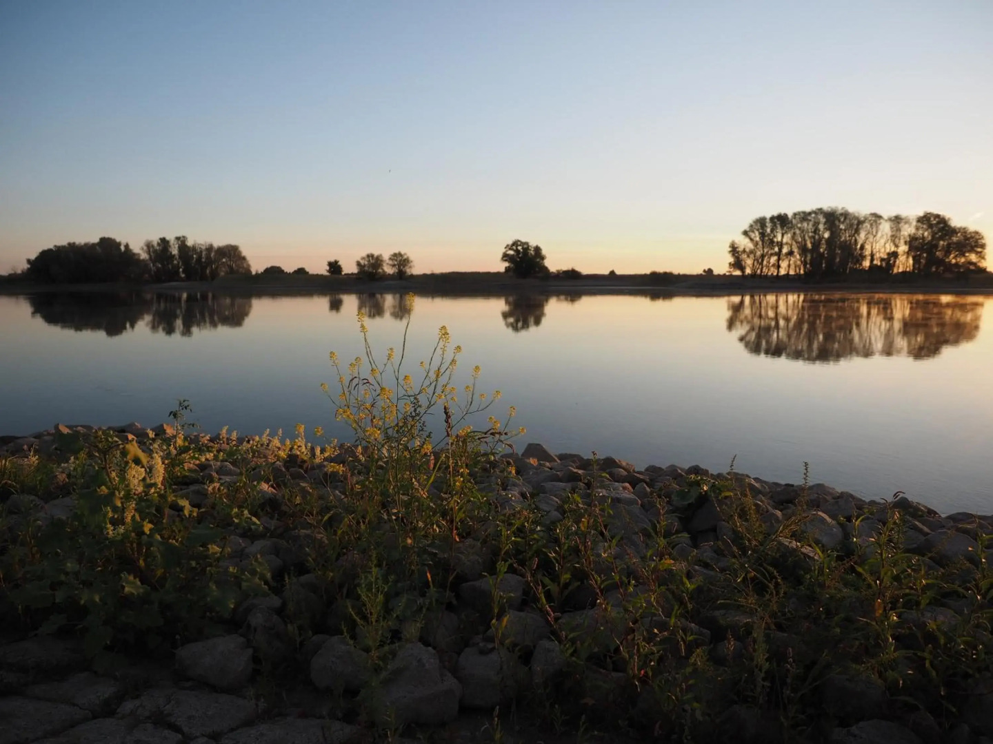 Ferienwohnung Hitzacker/Elbe