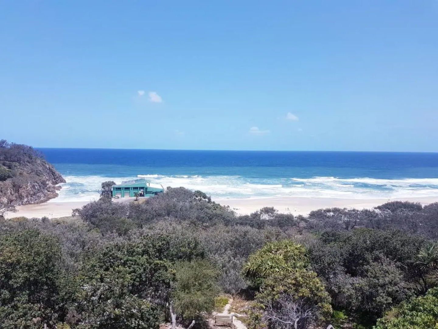 Whale Watch Ocean Beach Resort