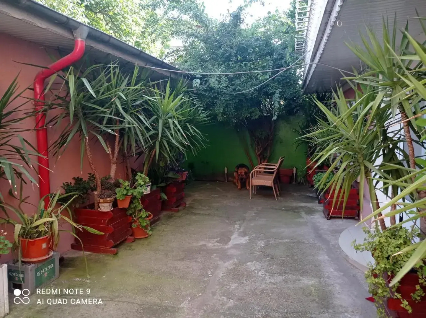 Pensiune Perla Dunarii