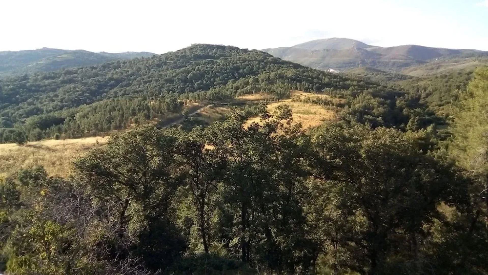 Apartamentos Condado de Miranda