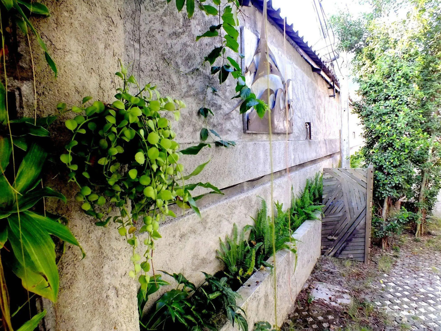 The Cave Studio Samui