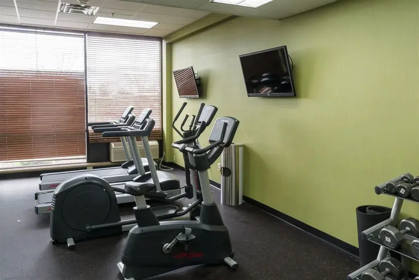 Holiday Inn Big Rapids