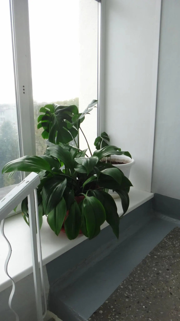 Севмаш санаторий