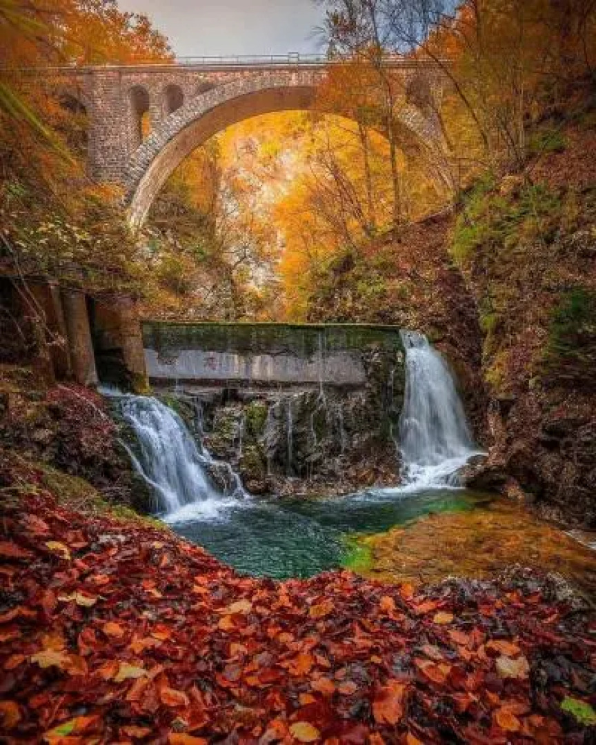 Apartments & Rooms 14 Bled