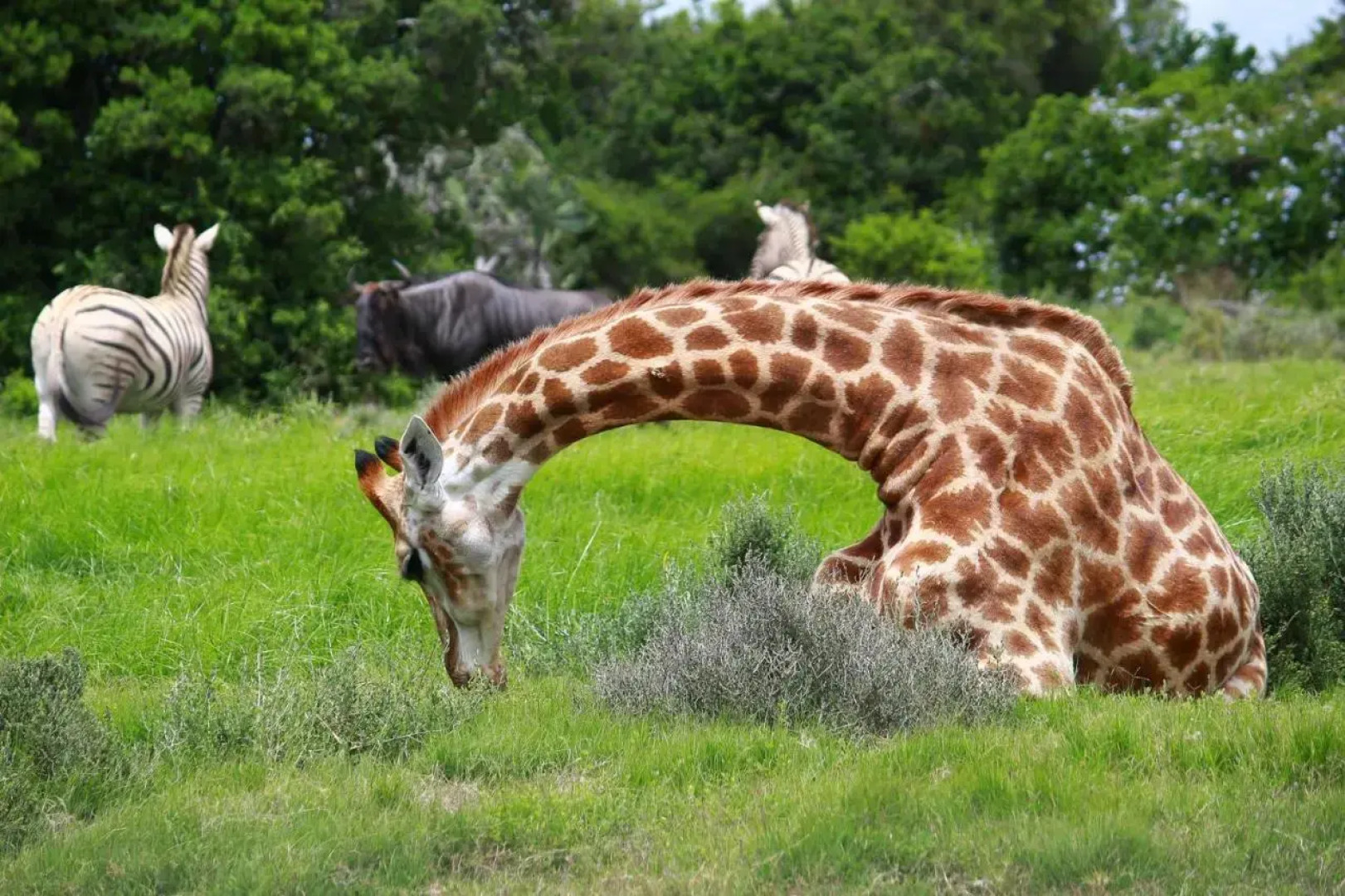 Pumba Private Game Reserve