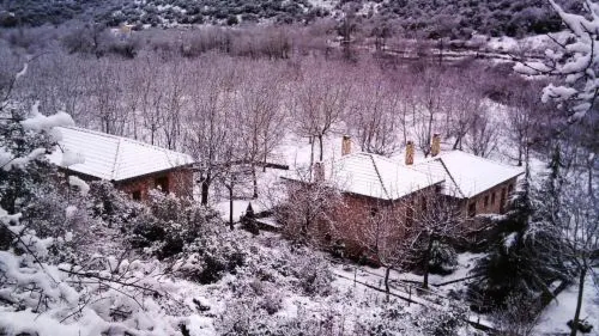 Andrea Sofi Guesthouse