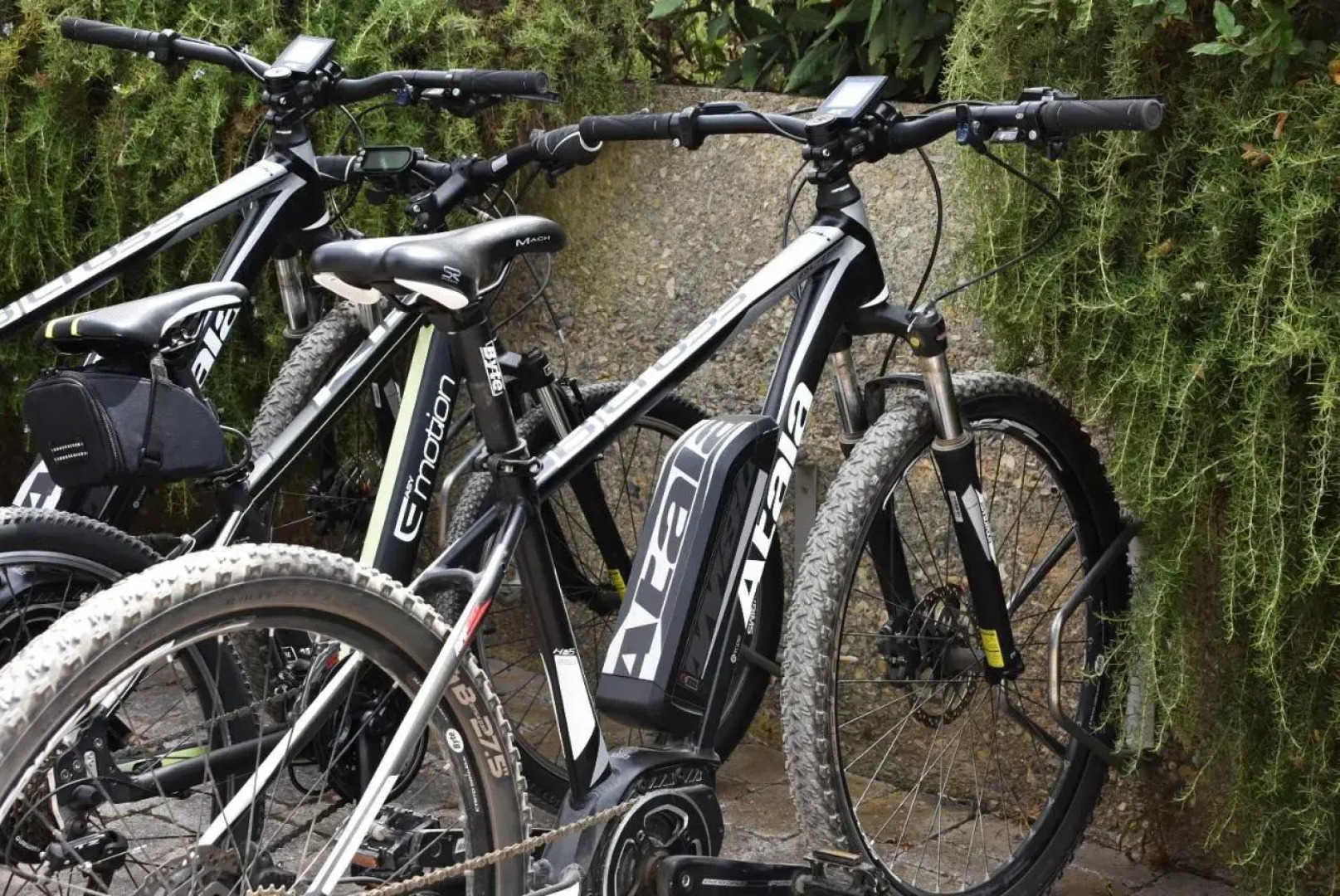 Allegroitalia Elba Golf