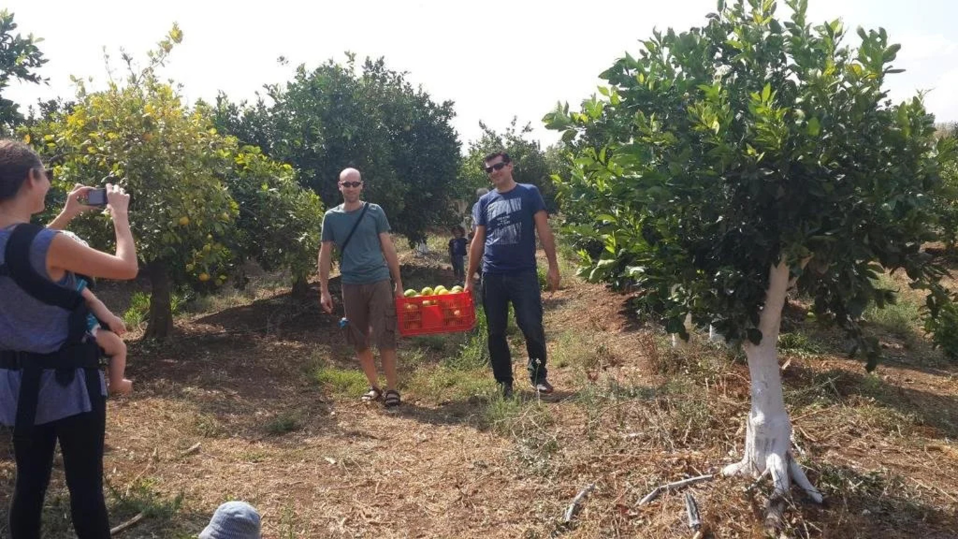 Nuriel Fruit & Guest House