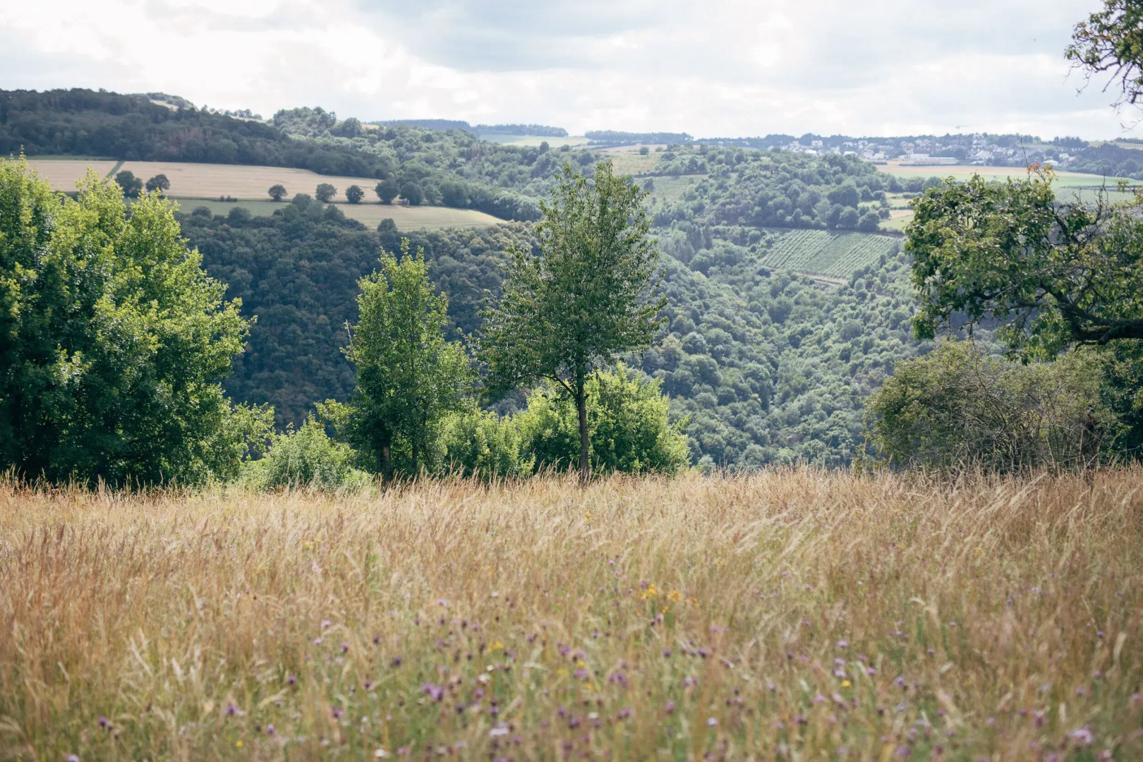 FETZ - Das Loreley Hotel