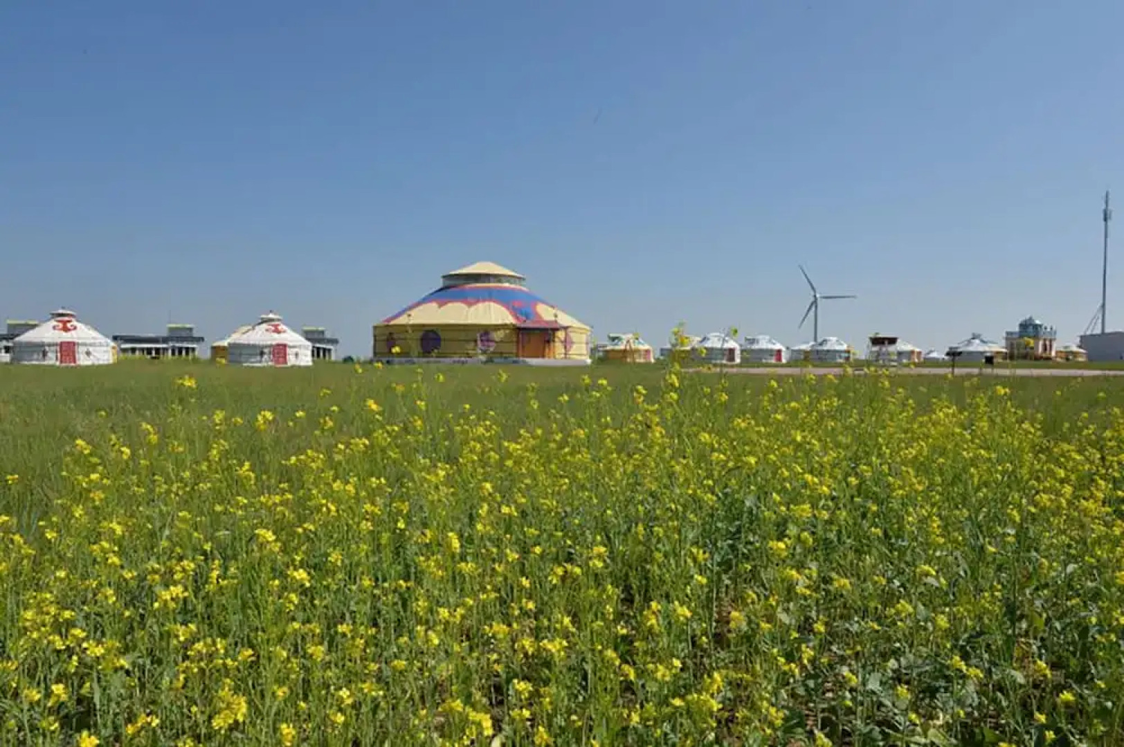 Xilingol Auspicious Horses