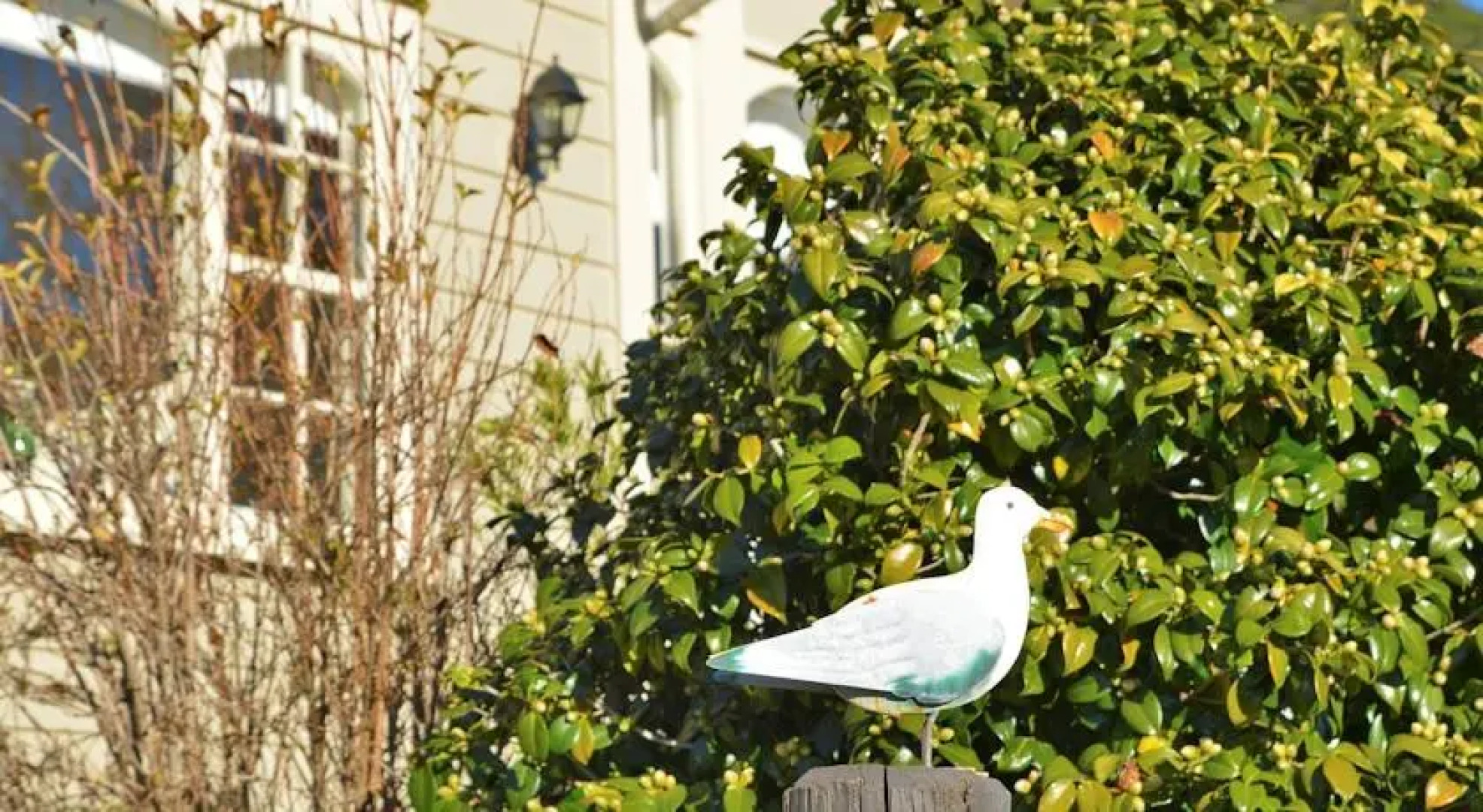 Echo Lodge Bed and Breakfast