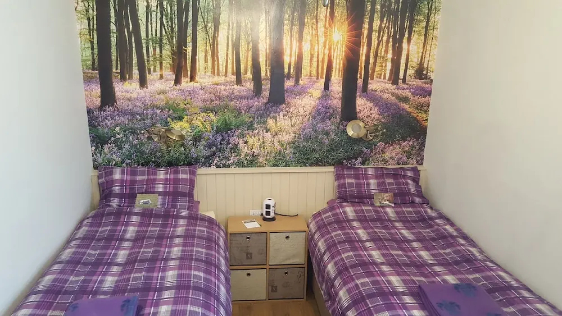 The Green Cruachan - Completely Vegetarian Breakfast