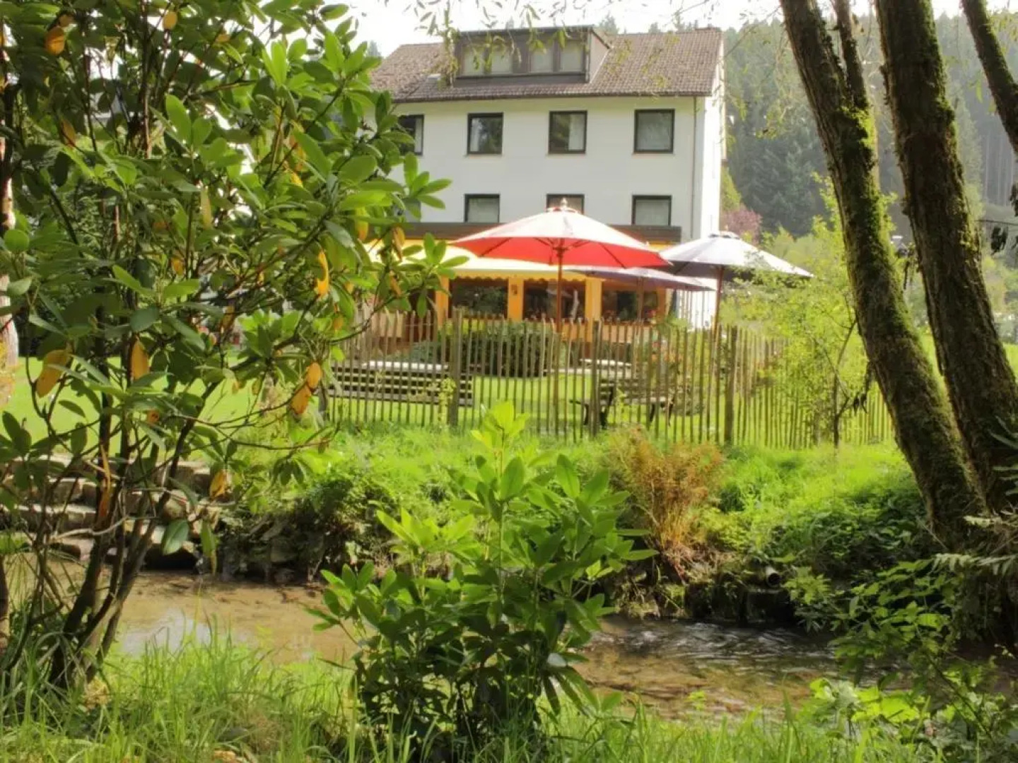 Cafe-Pension Landhaus Wittgenstein
