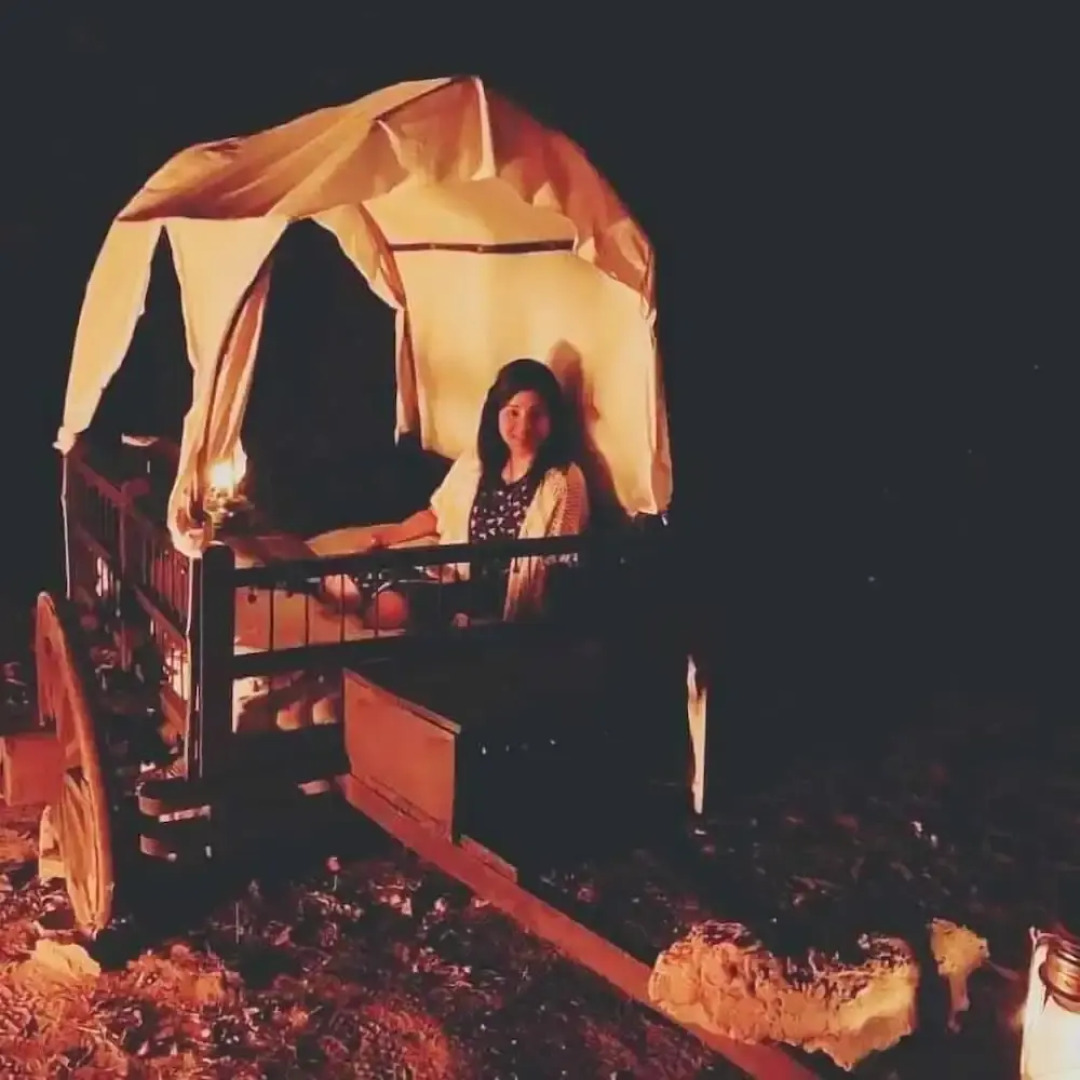 Kailash Farms Earthen Life