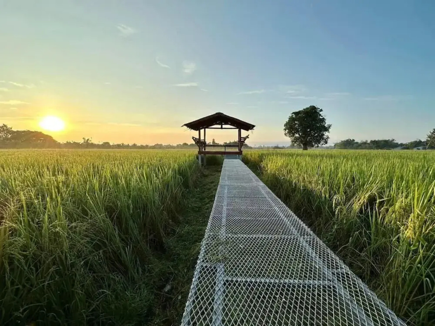 Phanumas LongStay Resort