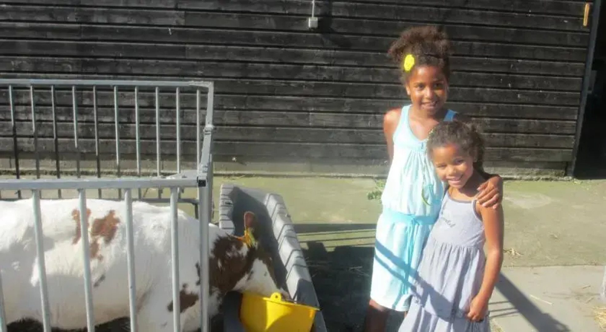 Hoeve Molenweide Farm Stay