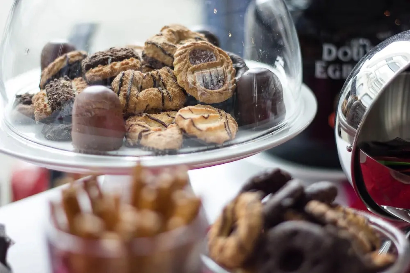 Stargaze Forum Hotel