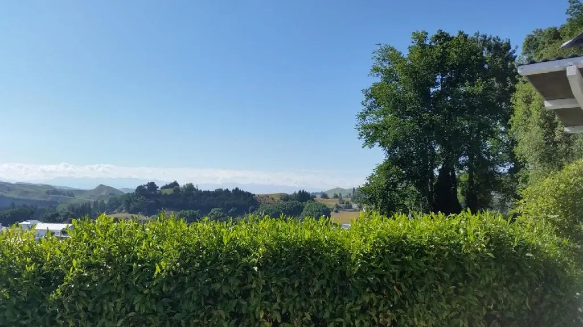 The White House Taihape