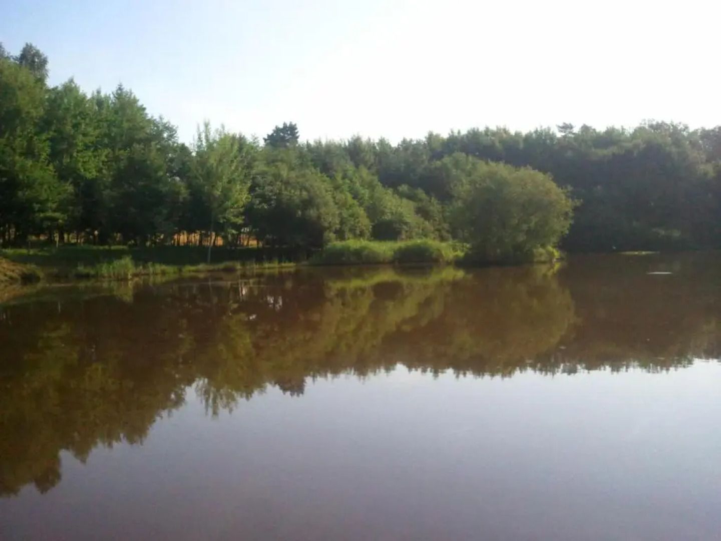 Vosges Chambres dhotes