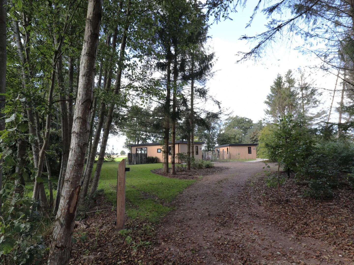 Unique Holiday Home in Dalerveen With Garden