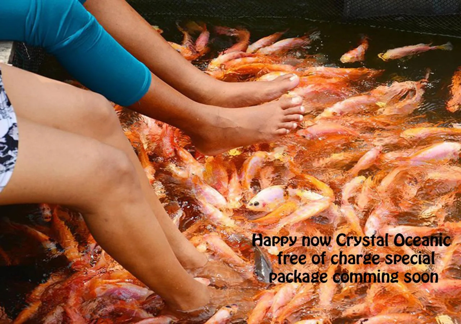 Crystal Oceanic
