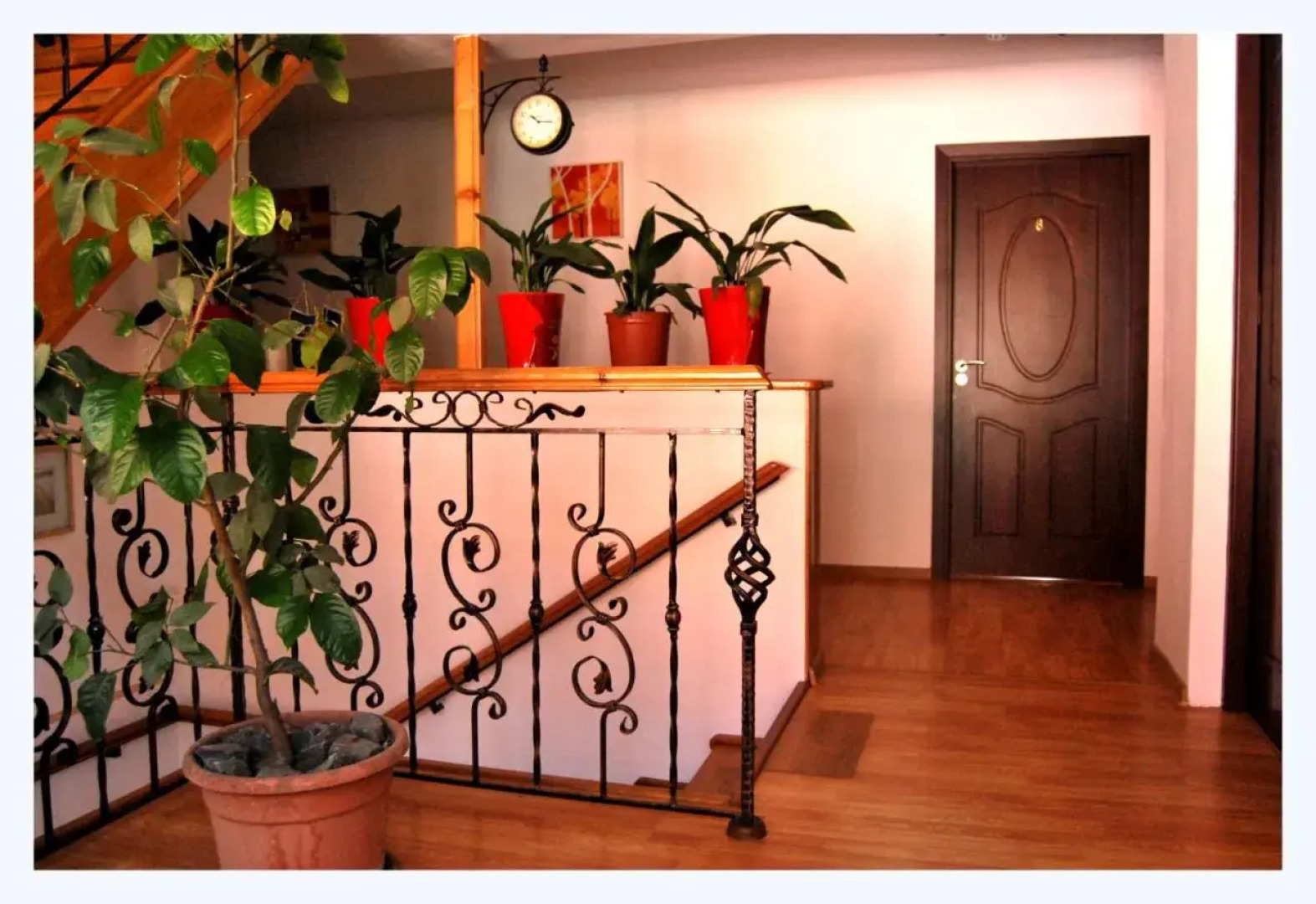 Pensiunea Pluto Sulina