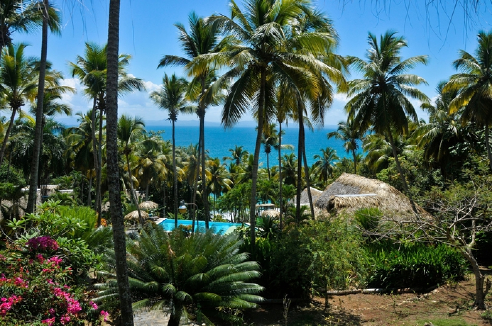 Las Ballenas Escondidas