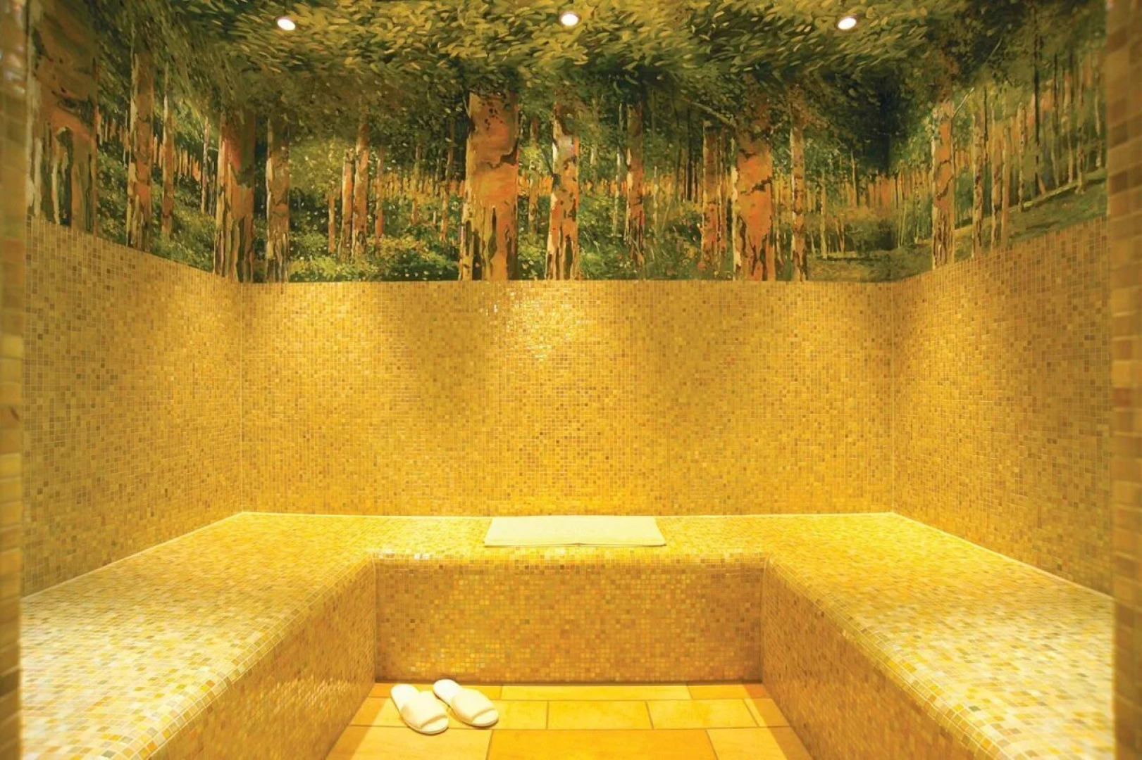 Hapimag Resort Braunlage