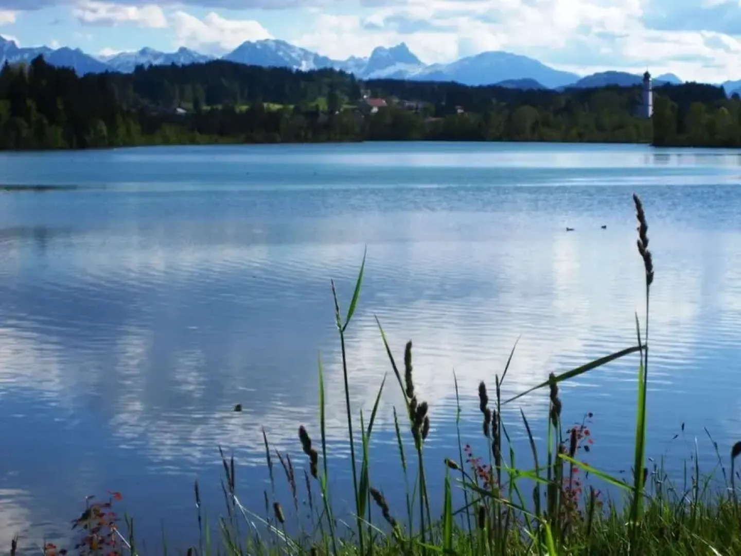 Sandra Comfortable Holiday Residence