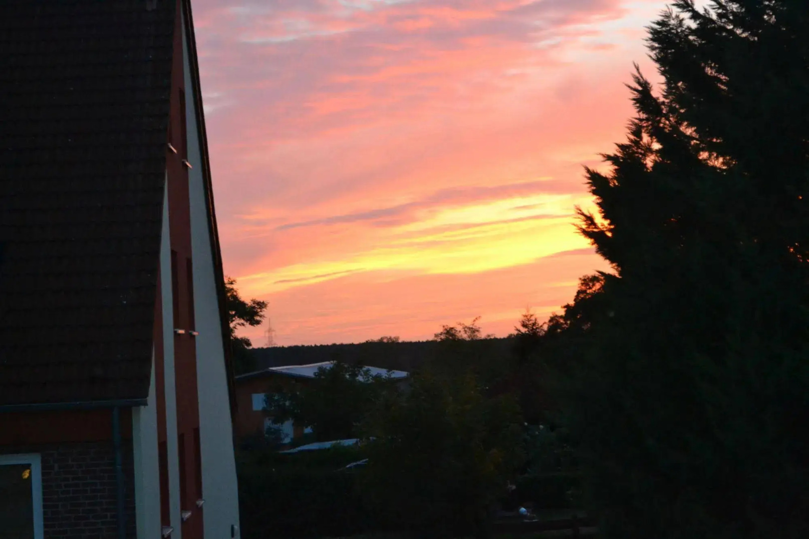 pur NATUR & berlin ALEX 40min.