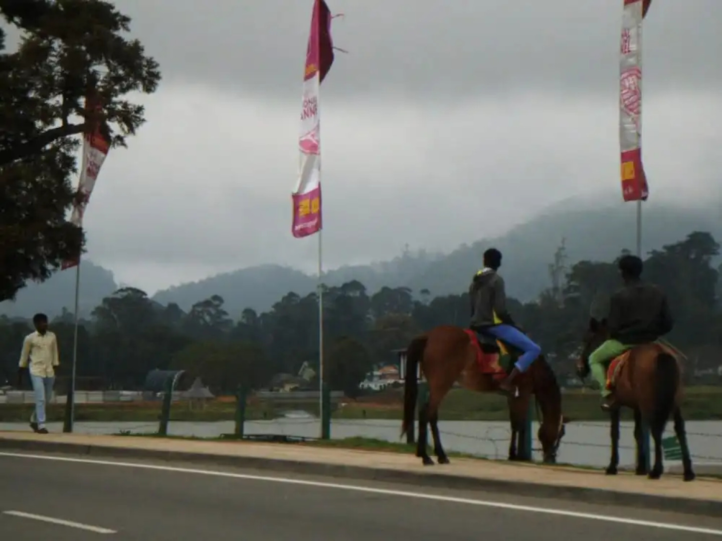 Majestic Luxury Apartments