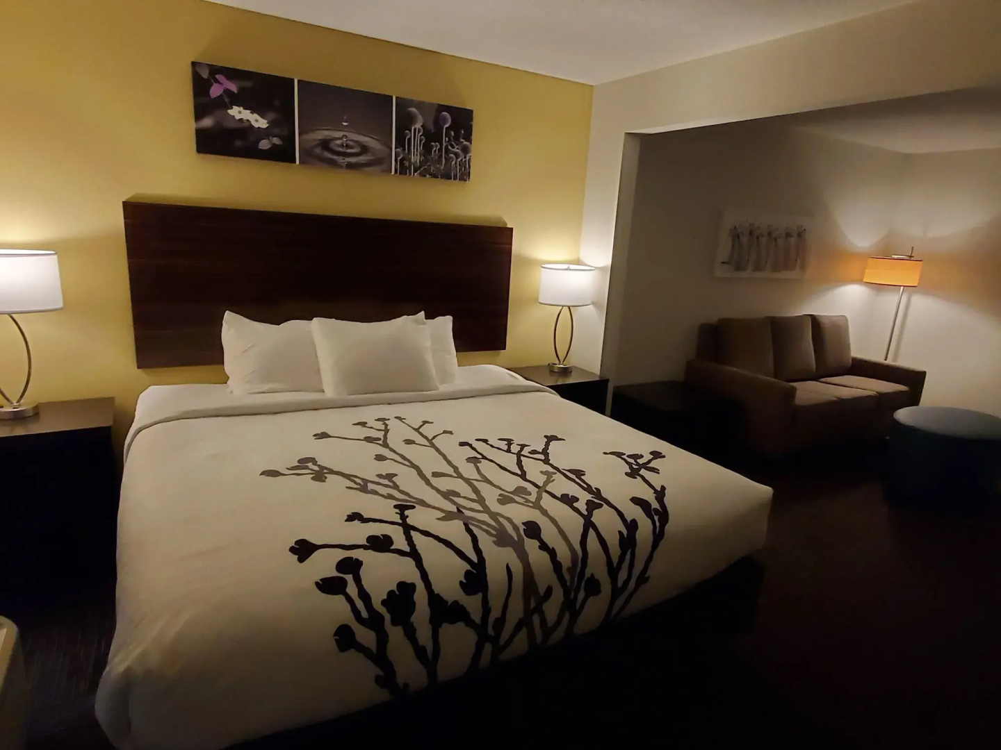 Sleep Inn And Suites